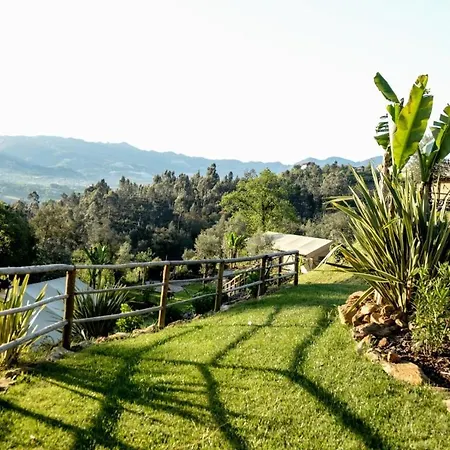 Fontelheira In Nune